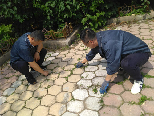 黨員進社區6 黨員進社區6